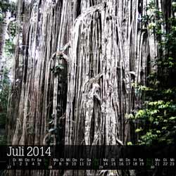 kalender 2014